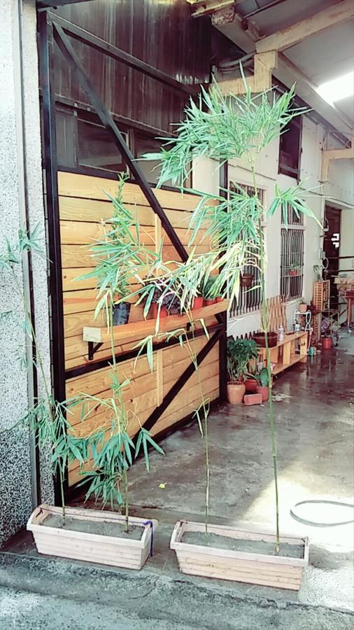 Ferienwohnung Chen The House Qingshui Exterior foto